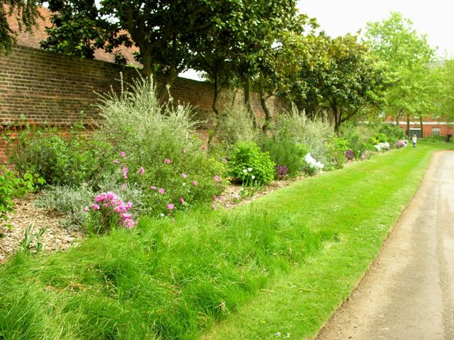 herbaceous border at Osterley Park