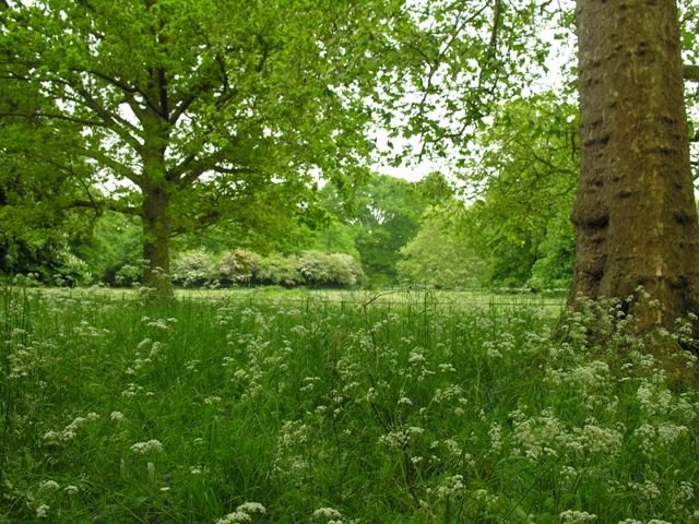 meadows at Osterley Park